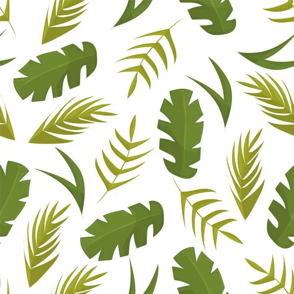 Modèle sans couture avec des feuilles tropicales sur fond blanc — Image vectorielle