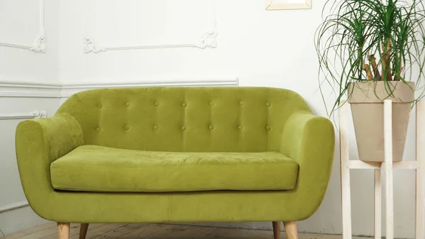 Home interior with new green sofa — Zdjęcie stockowe