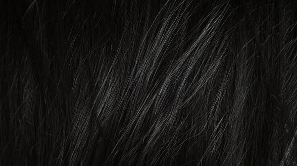 Belo cabelo preto saudável - close-up — Fotografia de Stock