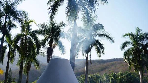 Fumaça da cabana entre as palmeiras — Fotografia de Stock