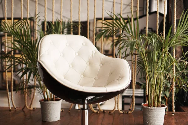 背景に椅子と植物のインテリア — ストック写真