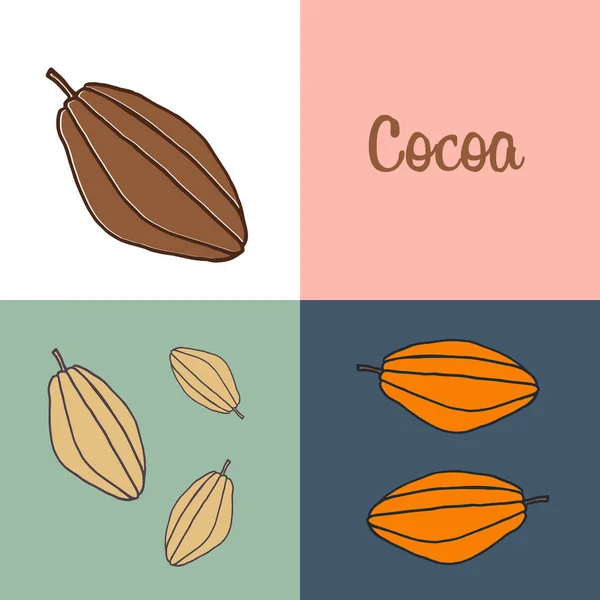 Feto di cacao disegnato a mano in diversi colori — Vettoriale Stock