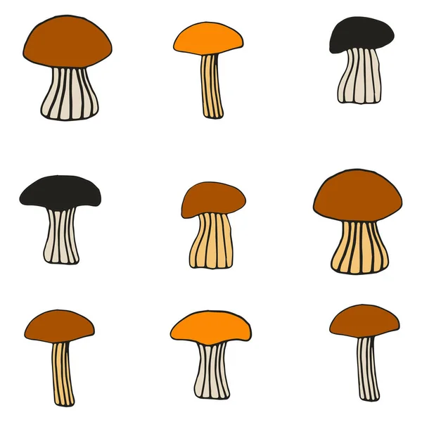 Uppsättning av olika svampar. bläck hand dras svamp — Stock vektor