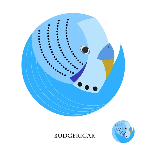 Blue budgerigar in the geometric style. White background — Stock Vector
