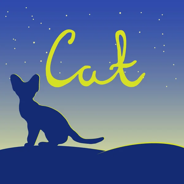 Cat sitting on a hill and looking at the night sky. word cat. letters drawn by hand — Stock Vector