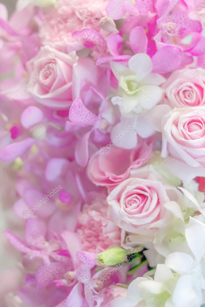 Fond fleur variété en couleur pastel \u2014 Photographie