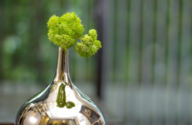 Gümüş vazo bulanıklık background.jpg