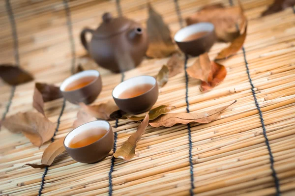 Tasse grüner Tee und trockenes Blatt — Stockfoto