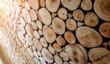 Yuvarlak teak ahşap güdük arka plan