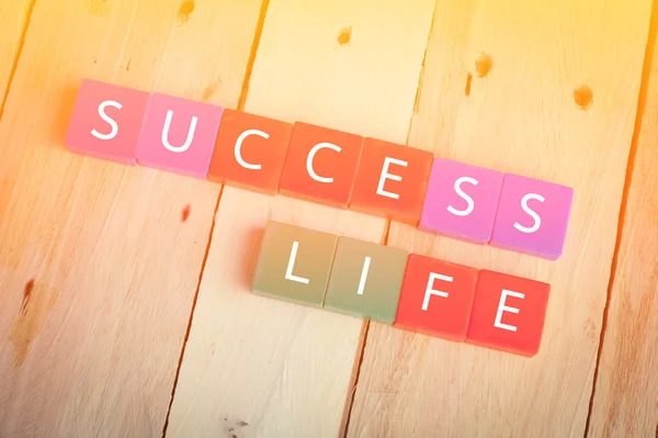 Wooden Blocks with the text Success life — Stockfoto