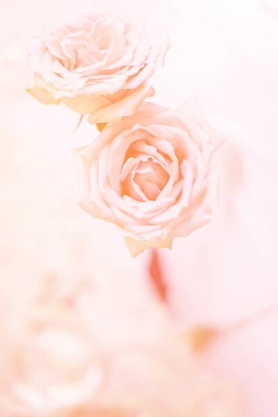 Rose flower bouquet vintage background