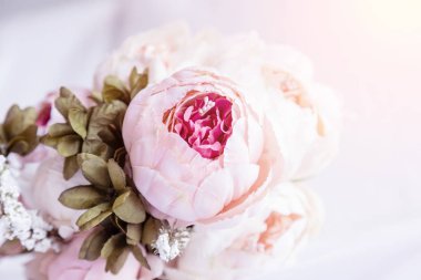 Pembe Gül gül pembe bir arka plan üzerinde bokeh arka plan üzerinde