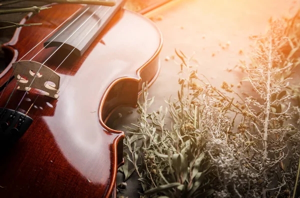 Romantik Klassische Musik Geige Auf Grauem Hintergrund Mit Freiem Kopierraum — Stockfoto