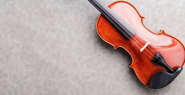 Violin on grey background with free copyspace for your ideas tex — Stock Photo, Image