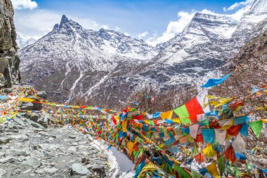 Budist Tibet duası, Çin 'in Sichuan Eyaleti Daocheng' deki dağın tepesinde bayraklar oluşturuyor..