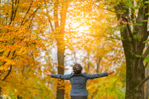 asian girl hand rise up with autumn tree forest freedom ideas concept