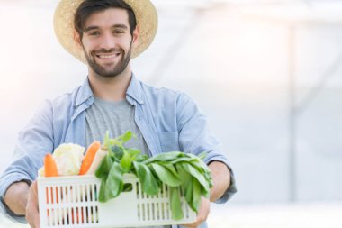 Akıllı Kafkasyalı sahibi küçük işletme yeşil ev hidroponik araştırılabilir çiftlik çiftlik çiftliğinde salata için bir sandık tutuyor.