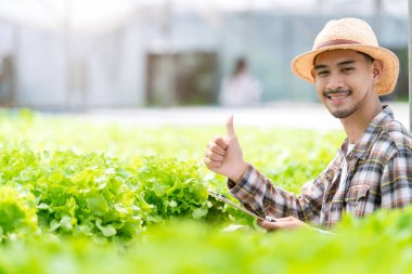 Zeki Asyalı erkek sahibi küçük işletme yeşil ev hidroponik araştırılabilir çiftlik çiftlik çiftliğinde salata için bir sandık tutuyor.