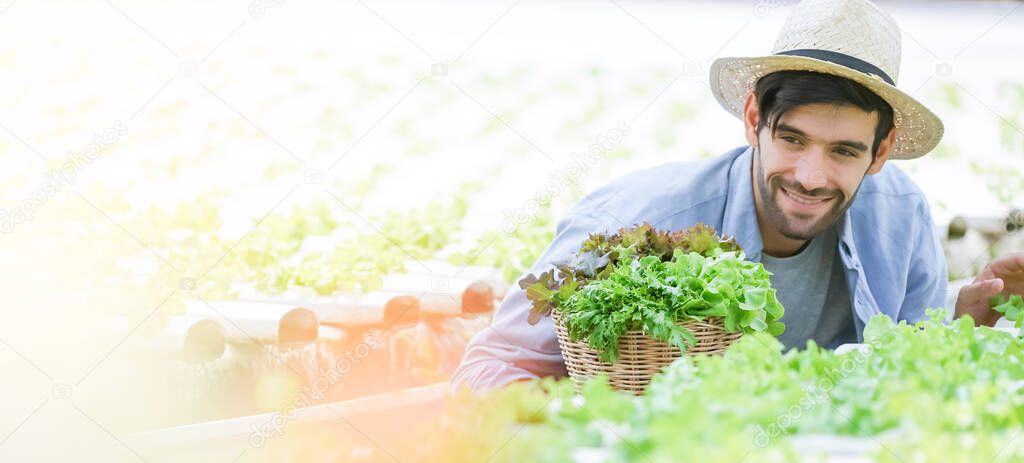 smart caucasian owner small business green house hydroponic vetgetable farm   holding a plant crate for salad in farm