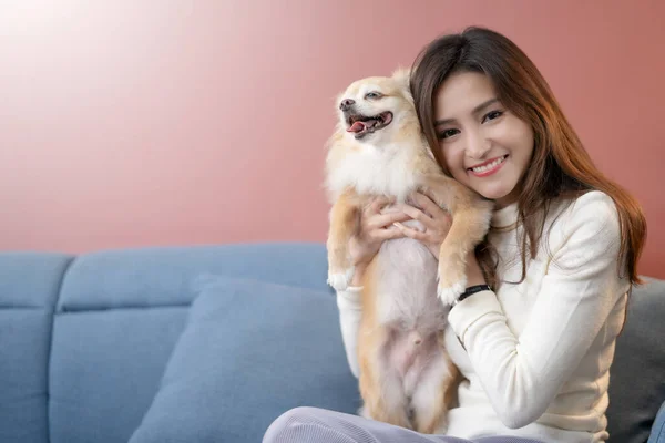 Schön Asiatisch Frau Glück Lächeln Genießen Mit Hübsch Braun Chihuahua — Stockfoto