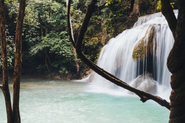 Tayland, ERAWAN WATERFall Ormanda
