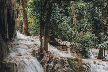 Tayland, ERAWAN WATERFall Ormanda