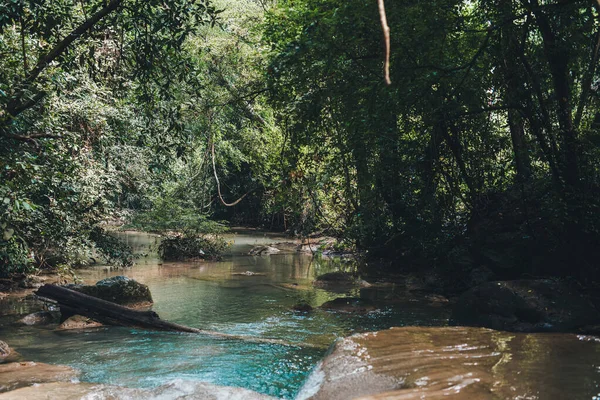 Dağ nehri, ormandaki erawan şelalesi, suda büyük kökleri olan ağaçlar.