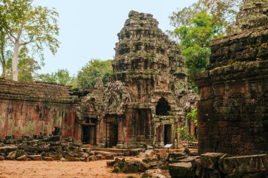 Angkor 'daki Ta Prohm tapınağı, Kamboçya' nın Siem Reap 'i, dev bir ağaç tarafından kucaklandı..