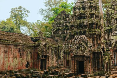 Angkor 'daki Ta Prohm tapınağı, Kamboçya' nın Siem Reap 'i, dev bir ağaç tarafından kucaklandı..