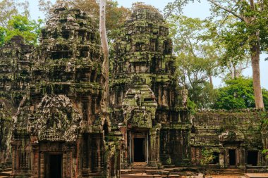 Angkor 'daki Ta Prohm tapınağı, Kamboçya' nın Siem Reap 'i, dev bir ağaç tarafından kucaklandı..