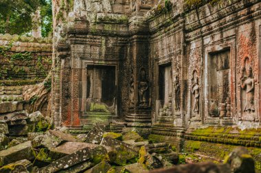 Angkor 'daki Ta Prohm tapınağı, Kamboçya' nın Siem Reap 'i, dev bir ağaç tarafından kucaklandı..