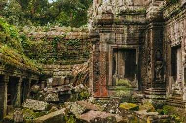 Angkor 'daki Ta Prohm tapınağı, Kamboçya' nın Siem Reap 'i, dev bir ağaç tarafından kucaklandı..