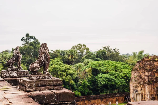 Angkor Wat Siem Hasadı Kamboçya — Stok fotoğraf