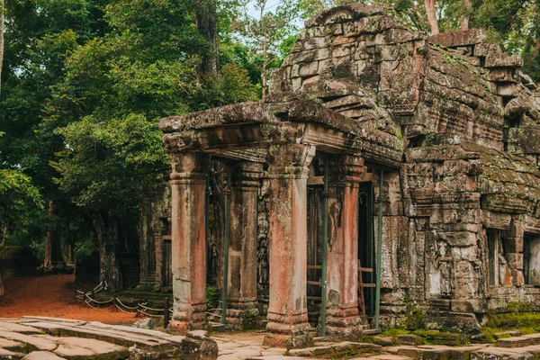 Angkor Daki Prohm Tapınağı Kamboçya Nın Siem Reap Dev Bir — Stok fotoğraf