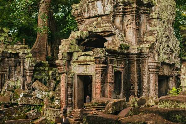 Templo Prohm Angkor Siem Reap Camboya Abrazado Por Árbol Gigante —  Fotos de Stock