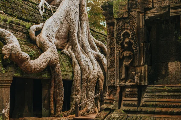 Prohm Tempel Angkor Siem Reap Van Cambodja Omarmd Door Een — Stockfoto