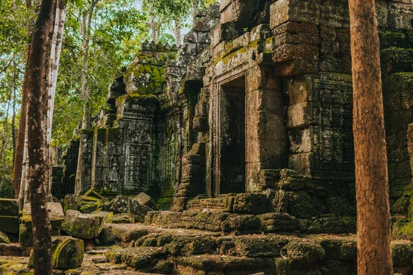 Angkor Daki Prohm Tapınağı Kamboçya Nın Siem Hasadı — Stok fotoğraf