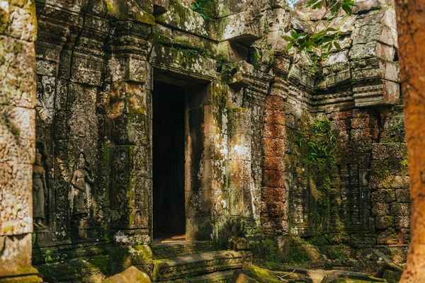 Prohm Tempel Angkor Siem Reap Van Cambodja — Stockfoto