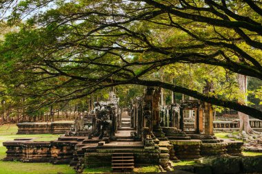 Angkor, Arkeoloji Parkı, Siem Reap, Kamboçya 'nın güzel manzaraları