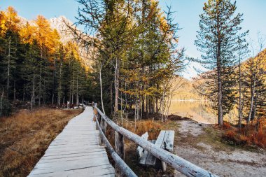 Wooden bridge, Antholzer see, lake, Dolomites Alps, North of Italy clipart