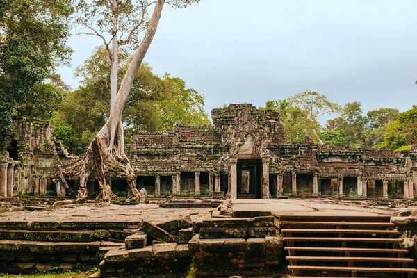 Angkor Arkeoloji Parkı Siem Reap Kamboçya Nın Güzel Manzaraları — Stok fotoğraf