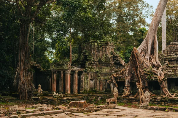 Prachtig Uitzicht Angkor Archeologisch Park Siem Reap Cambodja — Stockfoto