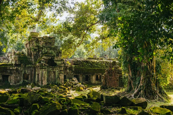 Angkor Arkeoloji Parkı Siem Reap Kamboçya Nın Güzel Manzaraları — Stok fotoğraf