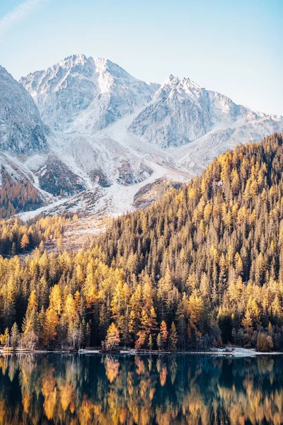 Antholzer Ver Lago Dolomites Alps Norte Itália — Fotografia de Stock