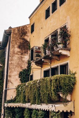 Görüntü: Ponte Pietra, Verona