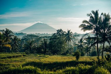 Endonezya, Bali 'deki Agung volkanı manzarası