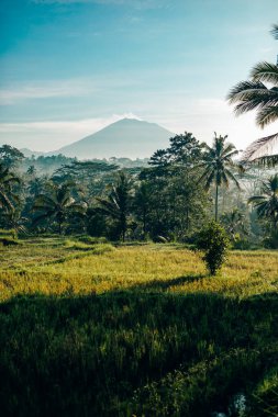 Endonezya, Bali 'deki Agung volkanı manzarası