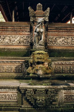 Ubud, Bali, Endonezya 'daki Maymun Ormanı