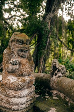 Ubud, Bali, Endonezya 'daki Maymun Ormanı