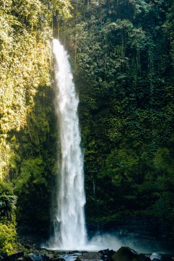 Nungnung Şelalesi, Bali, Endonezya